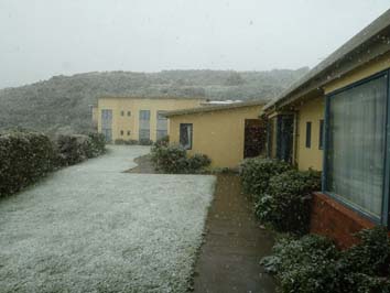 Snowing on the back lawn